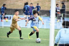 B01DSC_0508