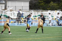 B01DSC_0528