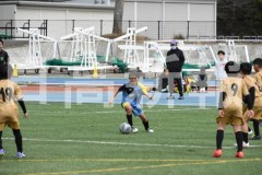 B01DSC_0529