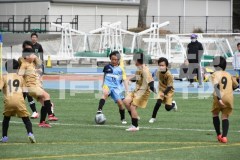 B01DSC_0530