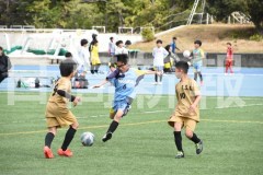 B01DSC_0533