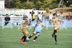 B01DSC_0534