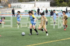 B01DSC_0536