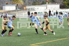 B01DSC_0537