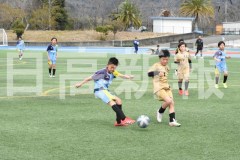 B01DSC_0550