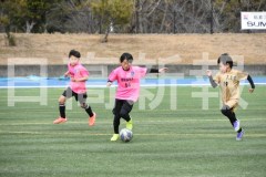 B01DSC_0557
