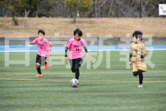 B01DSC_0558