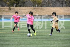 B01DSC_0559