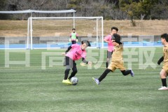 B01DSC_0560