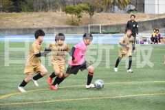 B01DSC_0562