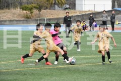 B01DSC_0563