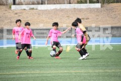 B01DSC_0564