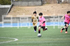 B01DSC_0565