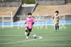 B01DSC_0567