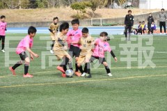 B01DSC_0575