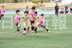 B01DSC_0576