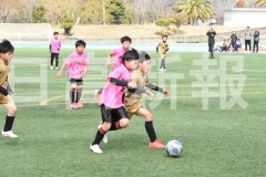 B01DSC_0580