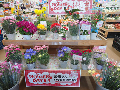 業務スーパー 産直市場よってって美浜店 母の日のお花を販売中 日高新報